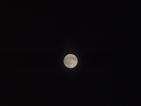 Photo image of a full moon on a clear night  by PJ Lalli